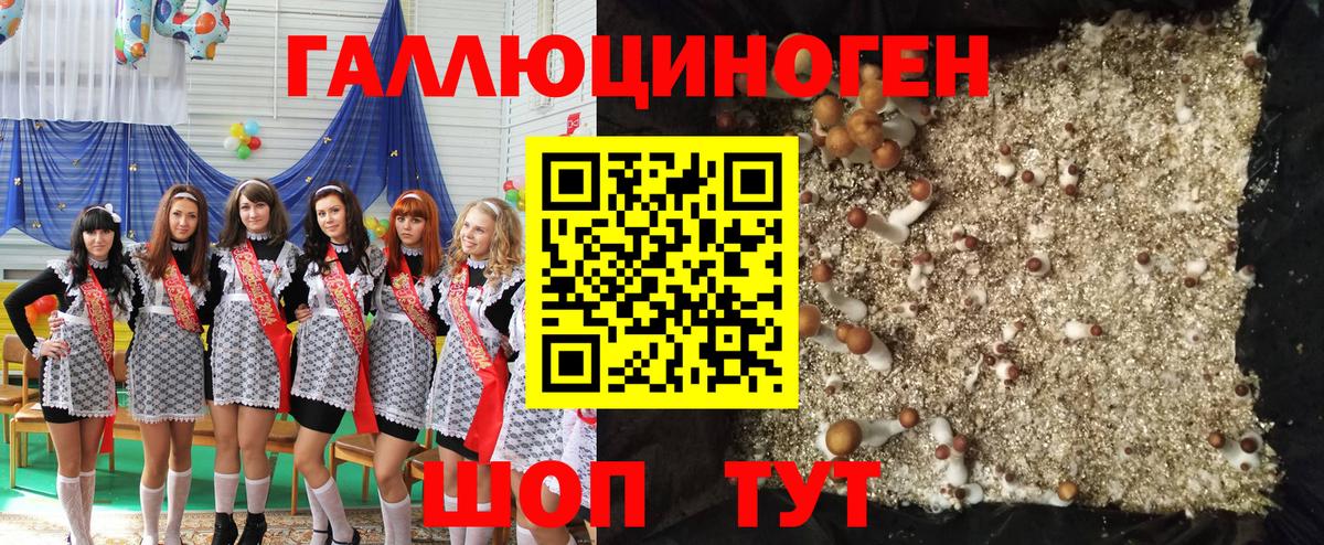Екатеринбург  Галлюциногенные грибы мицелий  Вход с VPN  Галлюциногенные грибы ЛСД 